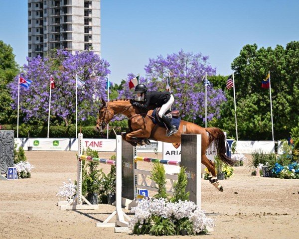 Springpferd Fiona Di Fosso (Schweizer Warmblut, 2016, von Flipper d'Elle)