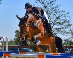 jumper Cadillac R (Mecklenburg, 2016, from Cellestial)