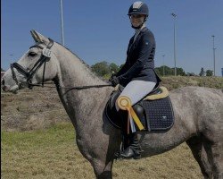 broodmare Bahira (Oldenburg show jumper, 2020, from Big Star)