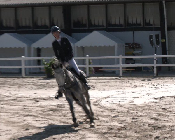Reitturnier Dortmund-Somborn 2025