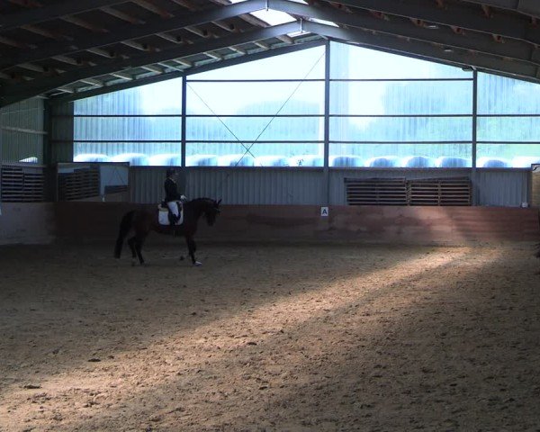 Reitturnier Dortmund-Somborn 2025