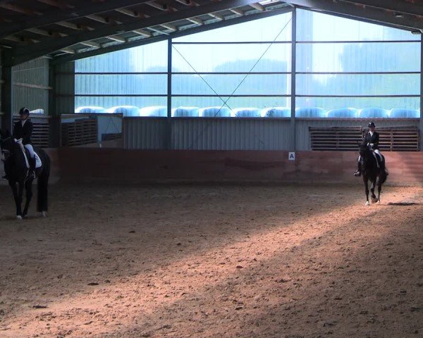 Reitturnier Dortmund-Somborn 2025