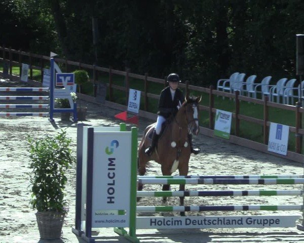 Reitturnier Breitenburg 2025