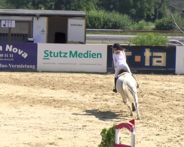 Reitturnier Wädenswil 2025