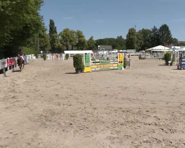 Reitturnier Dortmund-Somborn 2025