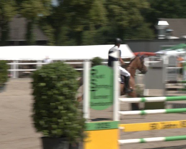 Reitturnier Dortmund-Somborn 2025