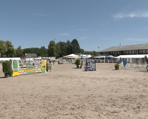 Reitturnier Dortmund-Somborn 2025