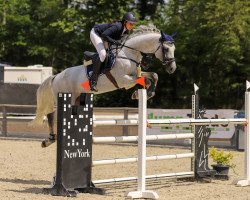 jumper Charming Boy VA (Holsteiner, 2012, from Corrado I)