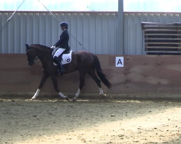Reitturnier Dortmund-Somborn 2025