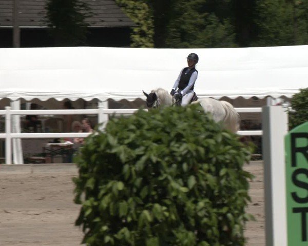 Reitturnier Dortmund-Somborn 2025
