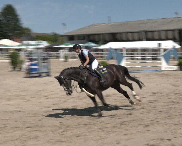 Reitturnier Dortmund-Somborn 2025