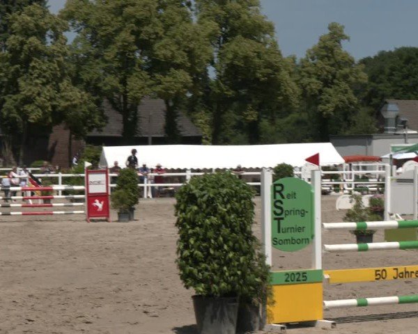 Reitturnier Dortmund-Somborn 2025
