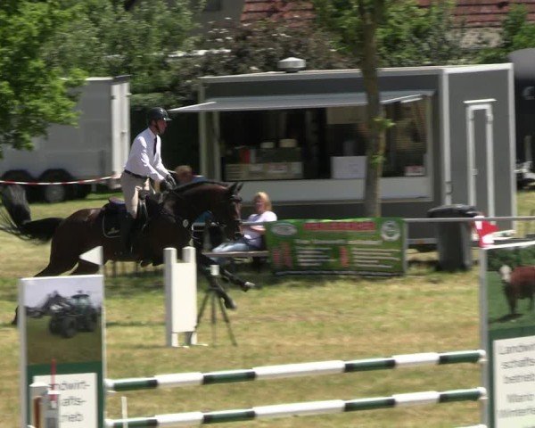 Reitturnier Uenze 2025