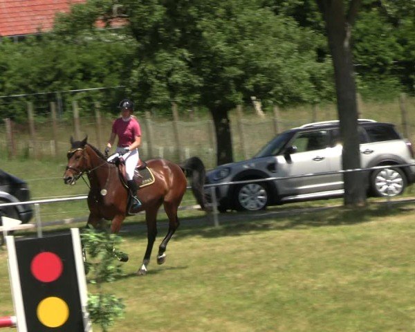 Reitturnier Uenze 2025
