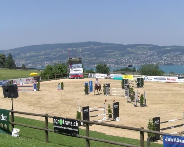 Reitturnier Wädenswil 2025