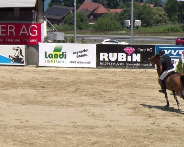 Reitturnier Wädenswil 2025