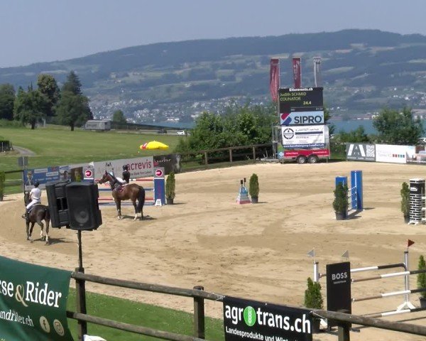Reitturnier Wädenswil 2025