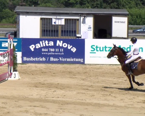 Reitturnier Wädenswil 2025
