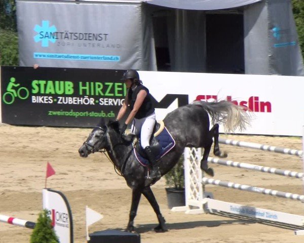 Reitturnier Wädenswil 2025