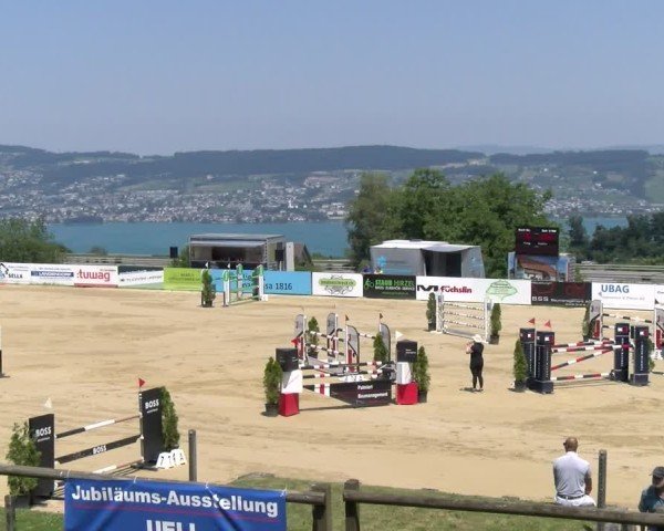 Reitturnier Wädenswil 2025