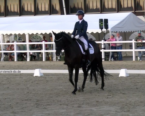 Reitturnier Dortmund-Somborn 2025