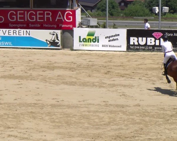 Reitturnier Wädenswil 2025