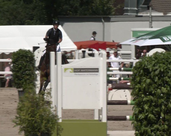 Reitturnier Dortmund-Somborn 2025