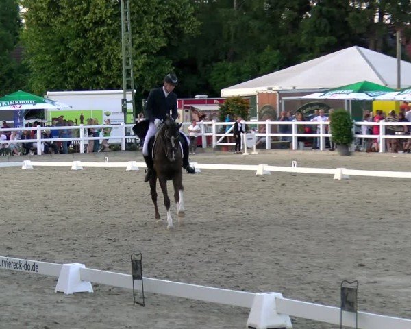 Reitturnier Dortmund-Somborn 2025