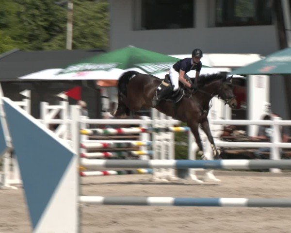 Reitturnier Dortmund-Somborn 2025