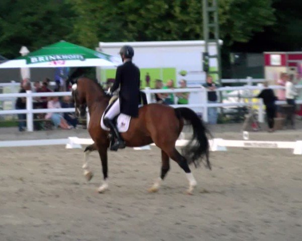 Reitturnier Dortmund-Somborn 2025