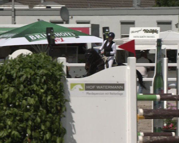 Reitturnier Dortmund-Somborn 2025
