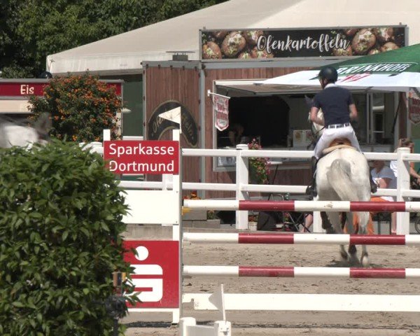 Reitturnier Dortmund-Somborn 2025