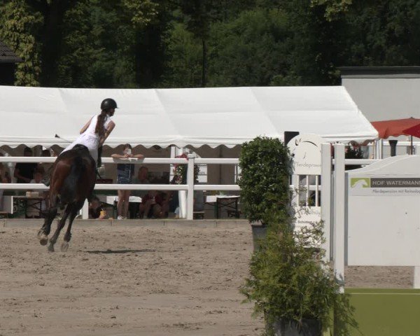 Reitturnier Dortmund-Somborn 2025