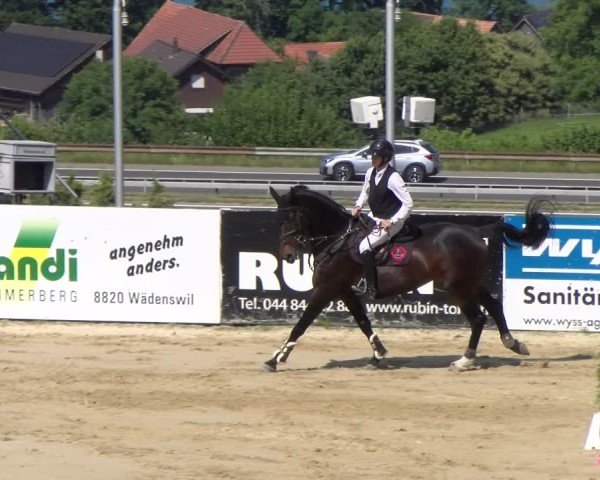 Reitturnier Wädenswil 2025
