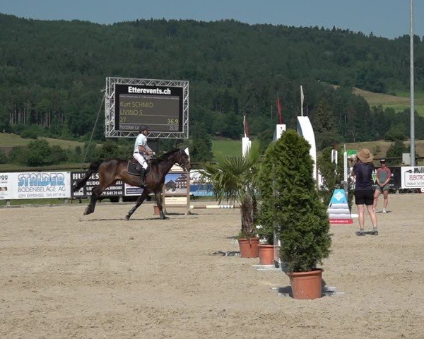 Reitturnier Hitzkirch 2025