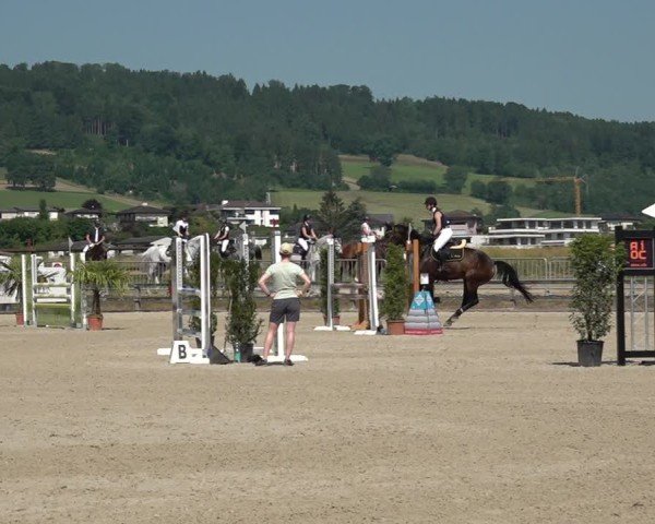 Reitturnier Hitzkirch 2025