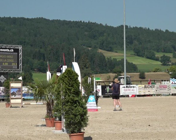 Reitturnier Hitzkirch 2025