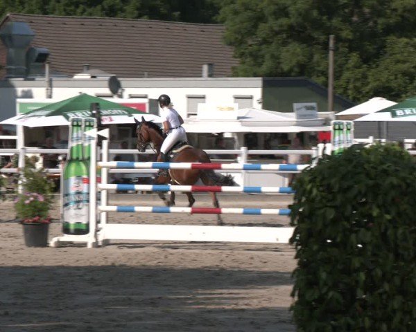Reitturnier Dortmund-Somborn 2025