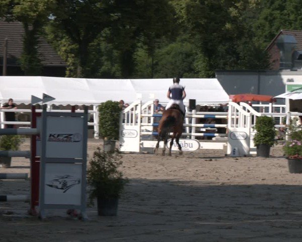 Reitturnier Dortmund-Somborn 2025