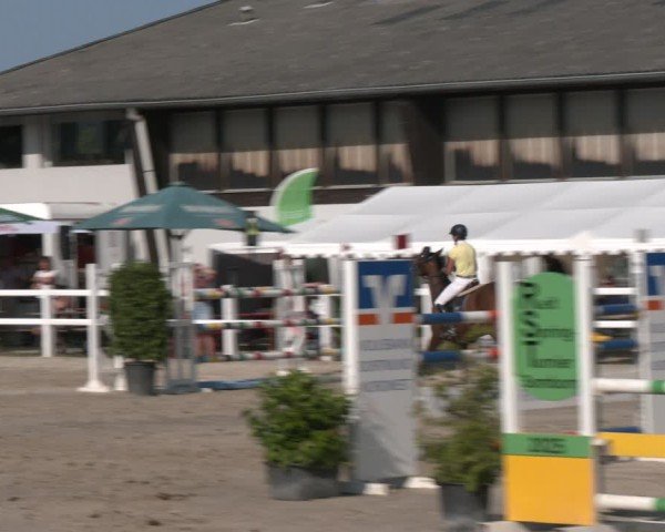 Reitturnier Dortmund-Somborn 2025
