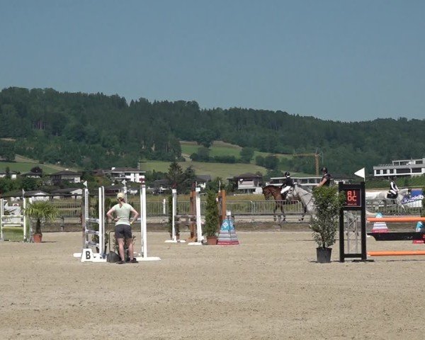 Reitturnier Hitzkirch 2025