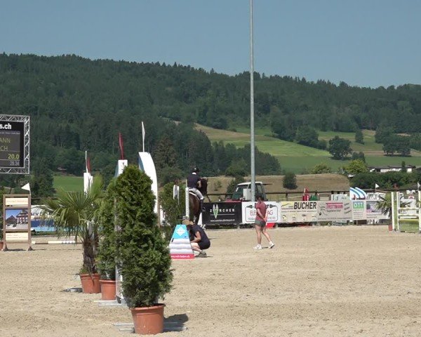 Reitturnier Hitzkirch 2025