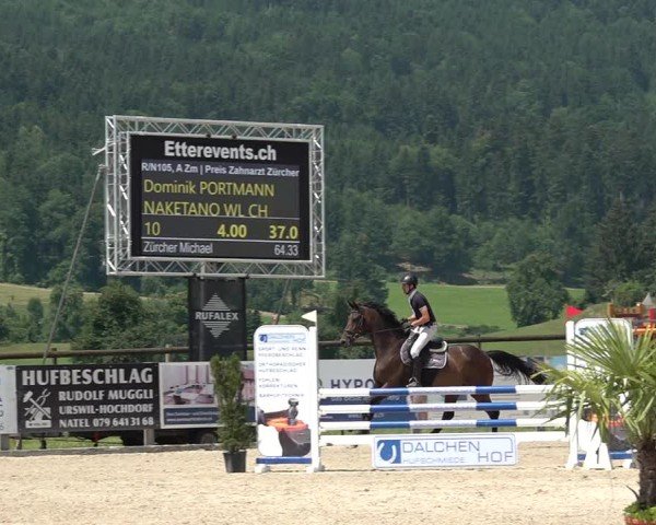 Reitturnier Hitzkirch 2025