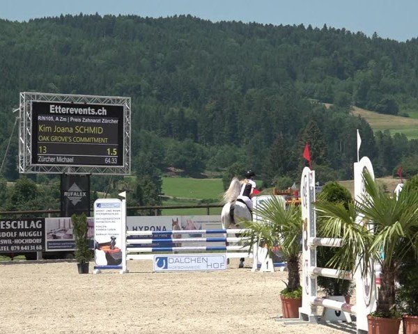 Reitturnier Hitzkirch 2025