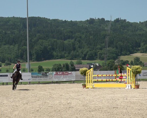 Reitturnier Hitzkirch 2025