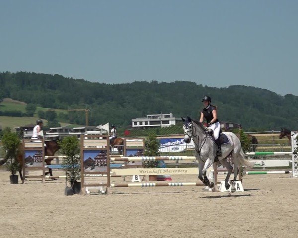 Reitturnier Hitzkirch 2025