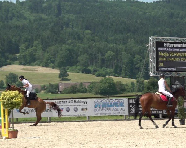 Reitturnier Hitzkirch 2025
