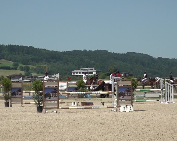 Reitturnier Hitzkirch 2025