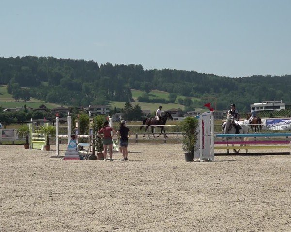 Reitturnier Hitzkirch 2025