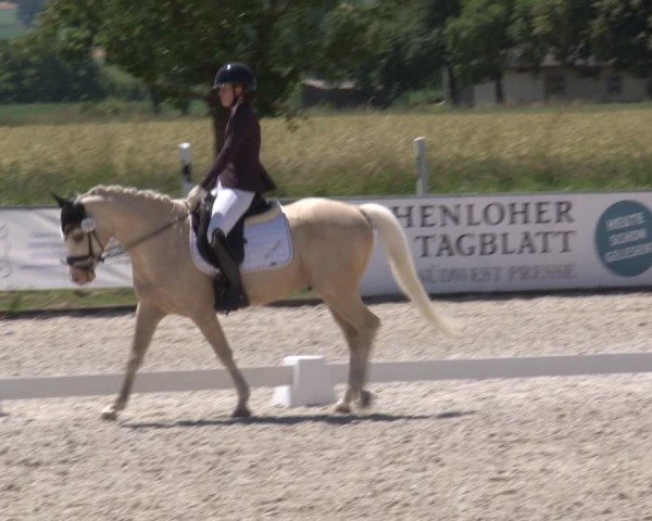 Reitturnier Rot am See- Musdorf 2025
